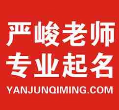 ☯☯严峻老师《起名改名服务流程》