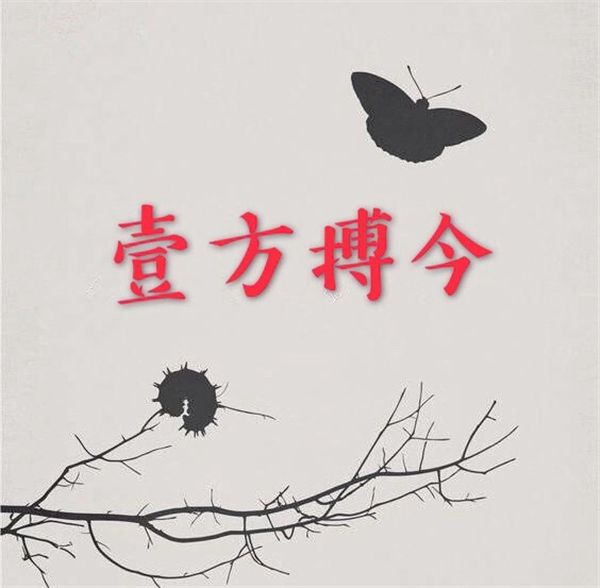  壹方搏今 起名案例